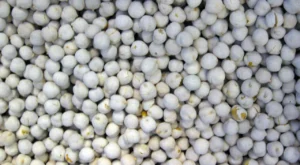 Beyaz Leblebi Nasıl Yapılır?