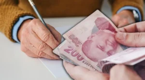 Bireysel Emeklilik Sigortası Nedir?