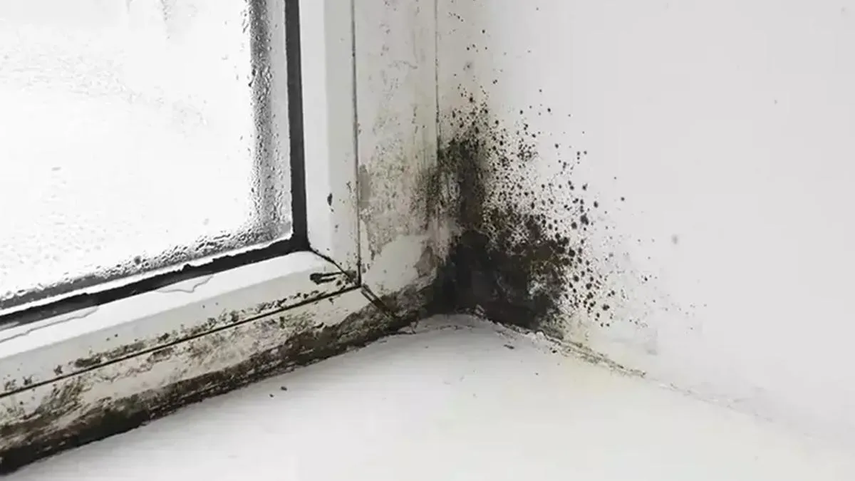 Rutubet Nasil Cozulur2 Pars